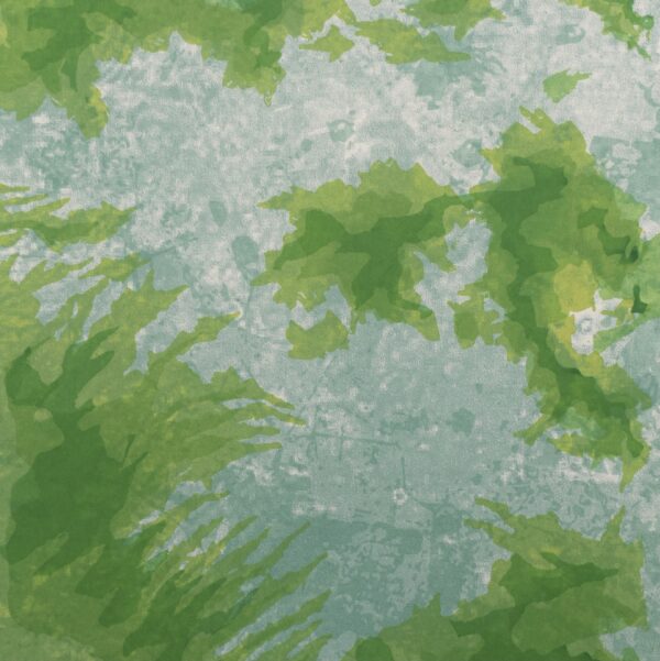 Disminución de áreas verdes 1990-2016 - Imagen 3